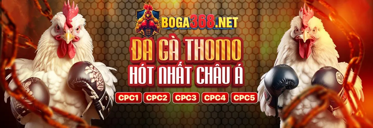 Tin tức baowin login