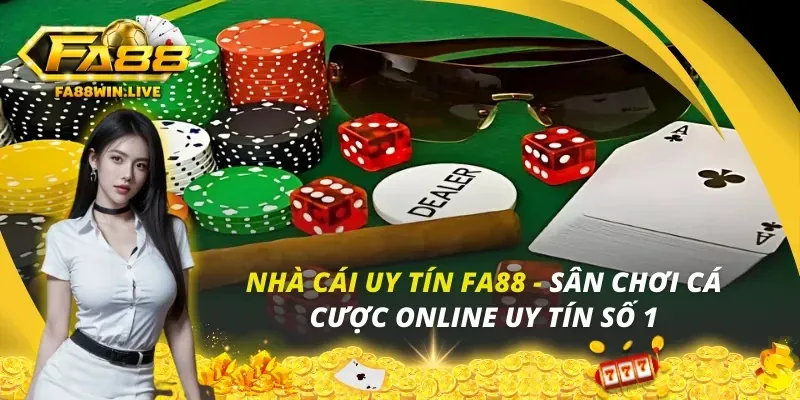 Câu hỏi thường gặp baowin login