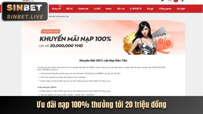 Hoàn trả hàng ngày Baowin